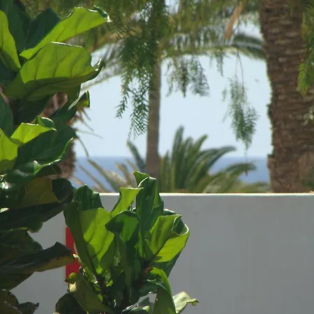 Chafari B5 A1 * Puerto del Carmen (Lanzarote)